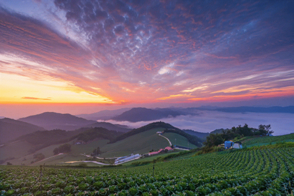 ΢������������ͼ1