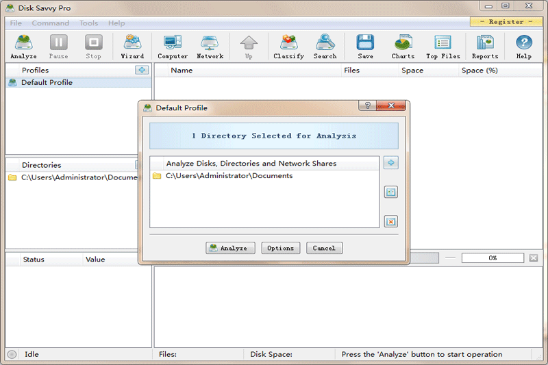 Disk Savvy Pro x64��ͼ1