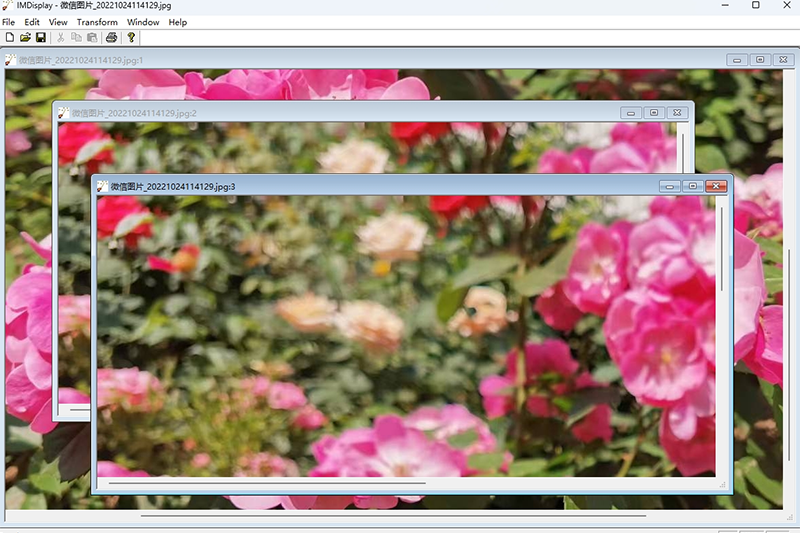 ImageMagick��ͼ4