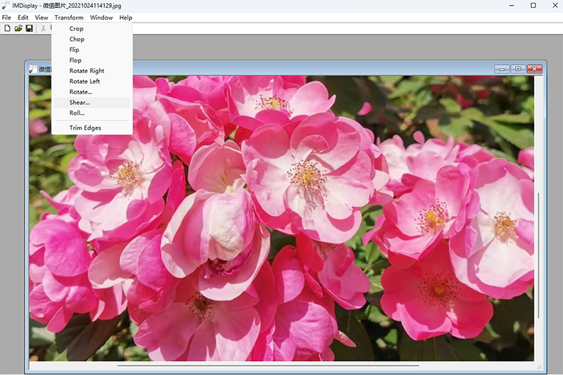 ImageMagick��ͼ1