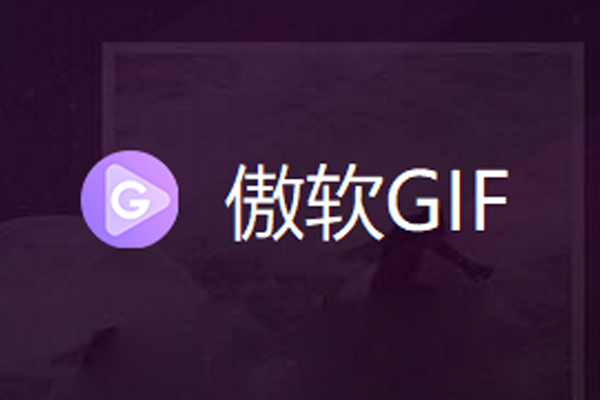 ����GIF¼������2026��ͼ1